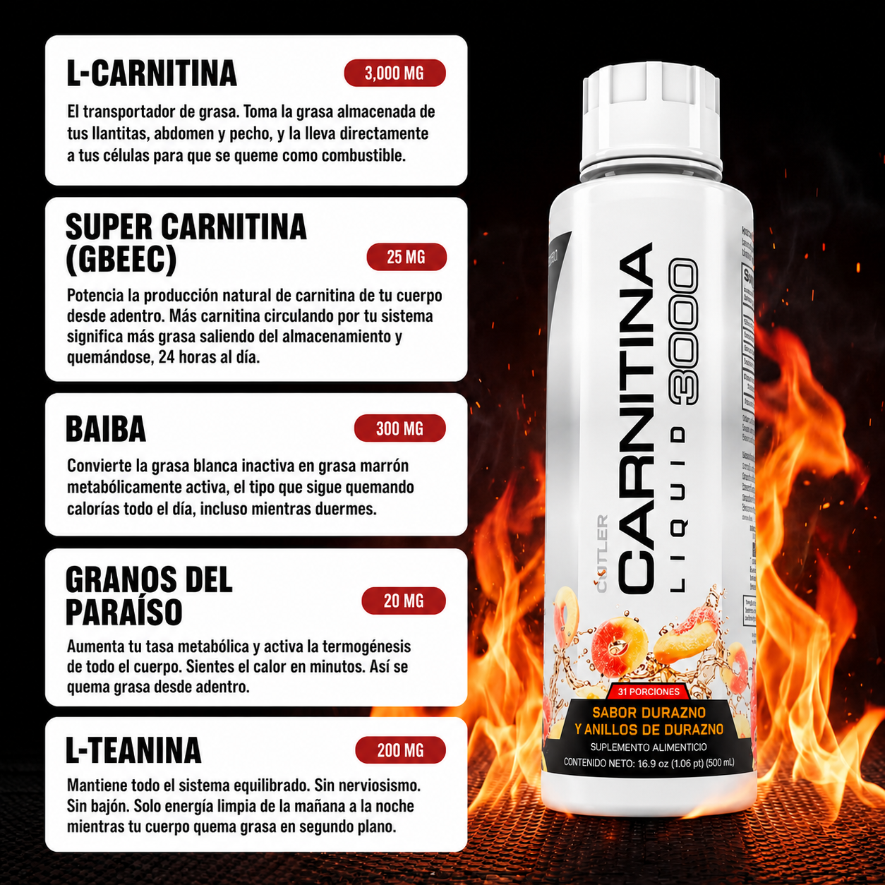L-Carnitine / Apoya la quema de grasa y el rendimiento